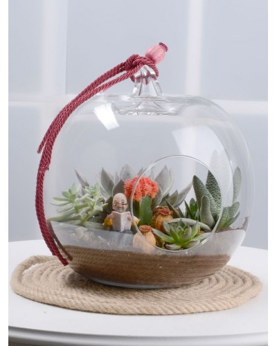 Toprak Kokulu Terrarium