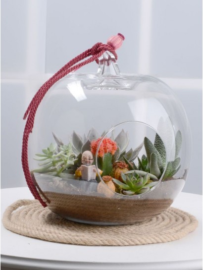 Toprak Kokulu Terrarium